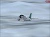 fsx 2018-01-14 16-03-03-95